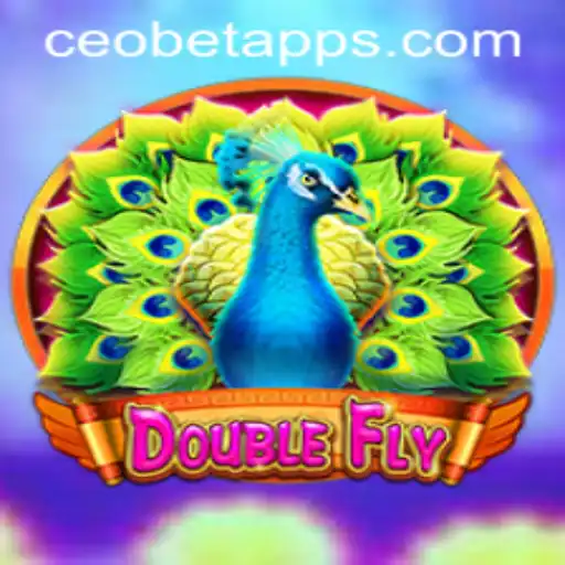 DoubleFly: Revolutionizing the Gaming World